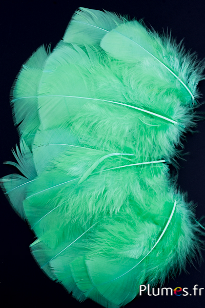 Dinde - 6-8 cm - vert pomme